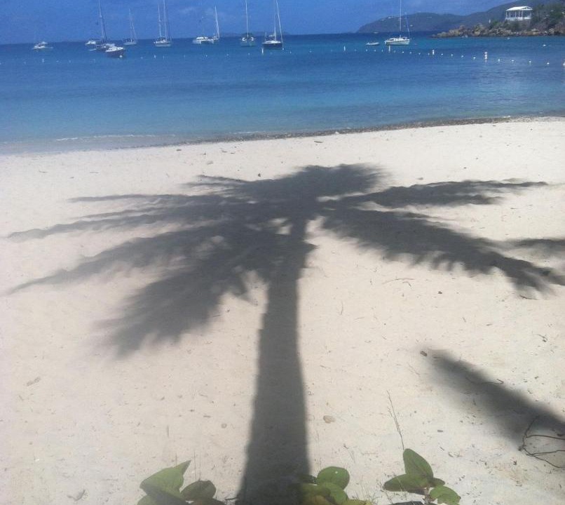 Photo of Others in Estate Western Water Island