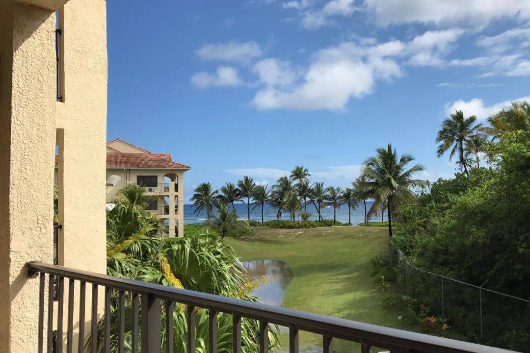 Photo of Patio Balcony in La Grande Princesse