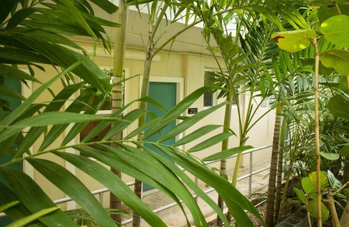 Estate Enighed Hotel | Inn at Tamarind Court