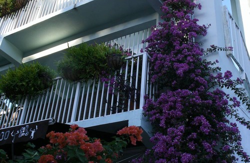 Estate Enighed Hotel | Cruz Bay Boutique Hotel