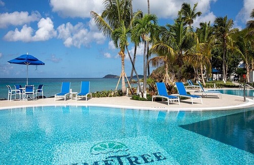 Estate Frenchman Bay Resort | Limetree Beach Resort ^ Studio - Secluded Caribbean Beach
