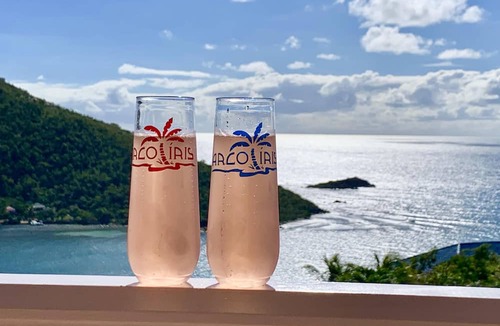 Point Rendezvous Villa | Arco Iris~3 Private King Suites, AC, Private Pool, Ocean Views, generator!