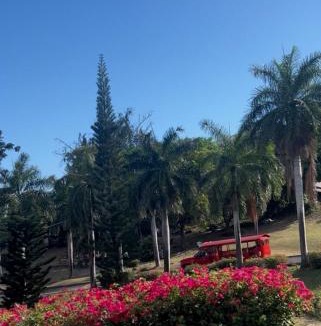 Altona Apartment | Cozy House, Ocean View, Saint Thomas