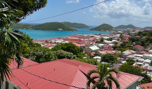 Estate Kings Quarter Hotel | The Green Iguana Hotel
