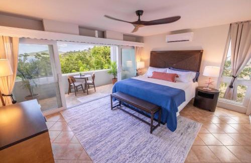Rosendal Apartment | Ocean Views From Every Room - 5 Minutes to Magen's Bay