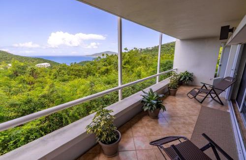 Rosendal Apartment | Ocean Views From Every Room - 5 Minutes to Magen's Bay