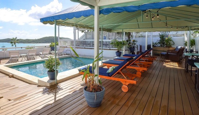 At Home in the Tropics