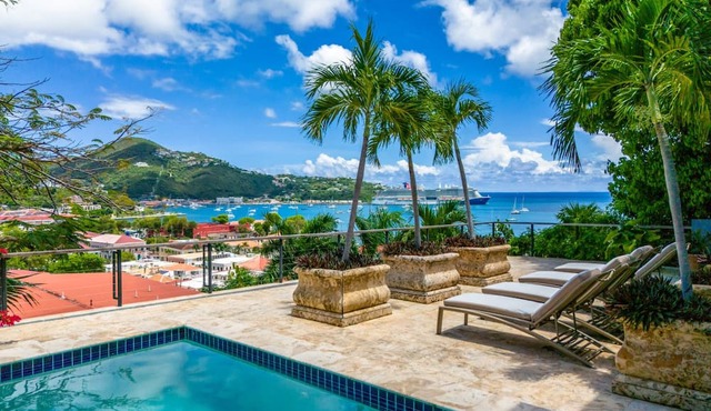 Lissette Manor - 5BR historical estate next to The Pink Palm Hotel downtown! in St. Thomas