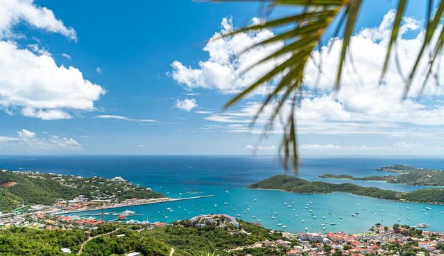 4BR - centrally located & mins. from Magen`s Bay! in St. Thomas