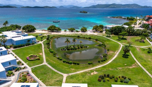 1BR condo on Sapphire Beach - sleeps 4! in St. Thomas